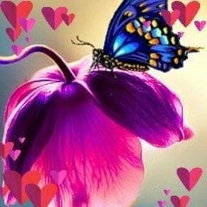 Meet your Posher, Leigh